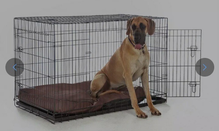 2xl dog crate